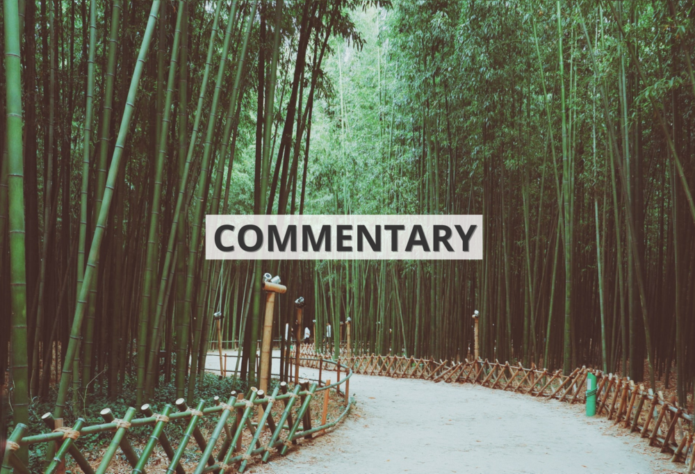 Bambusowy las ze ścieżką z napisem ‘commentary’ / Bamboo forest with a path with the inscription 'commentary'