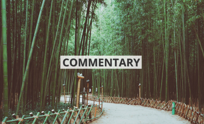 Bambusowy las ze ścieżką z napisem ‘commentary’ / Bamboo forest with a path with the inscription 'commentary'
