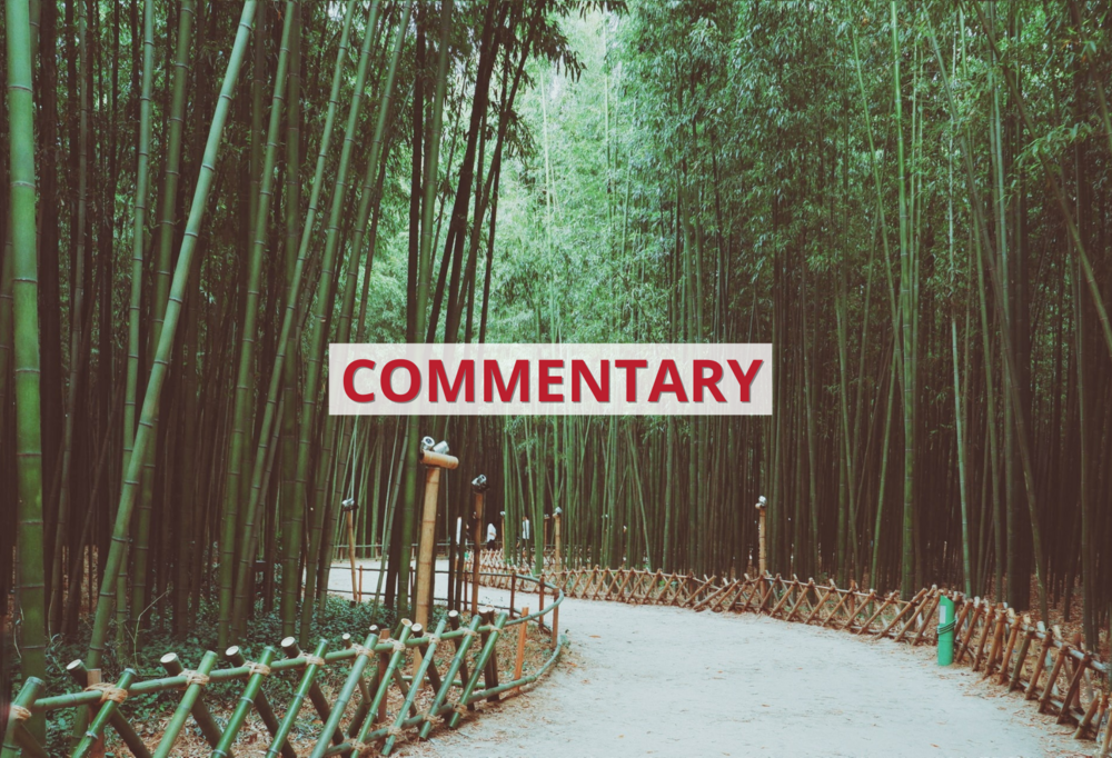 Bambusowy las ze ścieżką z napisem ‘commentary’ / Bamboo forest with a path with the inscription 'commentary'