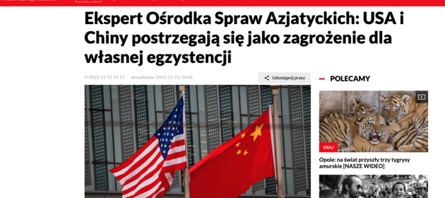 Zrzut ekranu z wywiadem na portalu polskiej agencji prasowej/Screenshot of an interview on the Polish news agency portal
